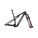 CUADRO S-WORKS EPIC 8 GLOSS CARBON