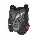 CHALECO PROTECTOR ALPINESTARS A-6 PLASMA | Ravet Bike