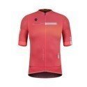 MAILLOT GOBIK CARRERA 2.0 PARADISE | Ravet Bike