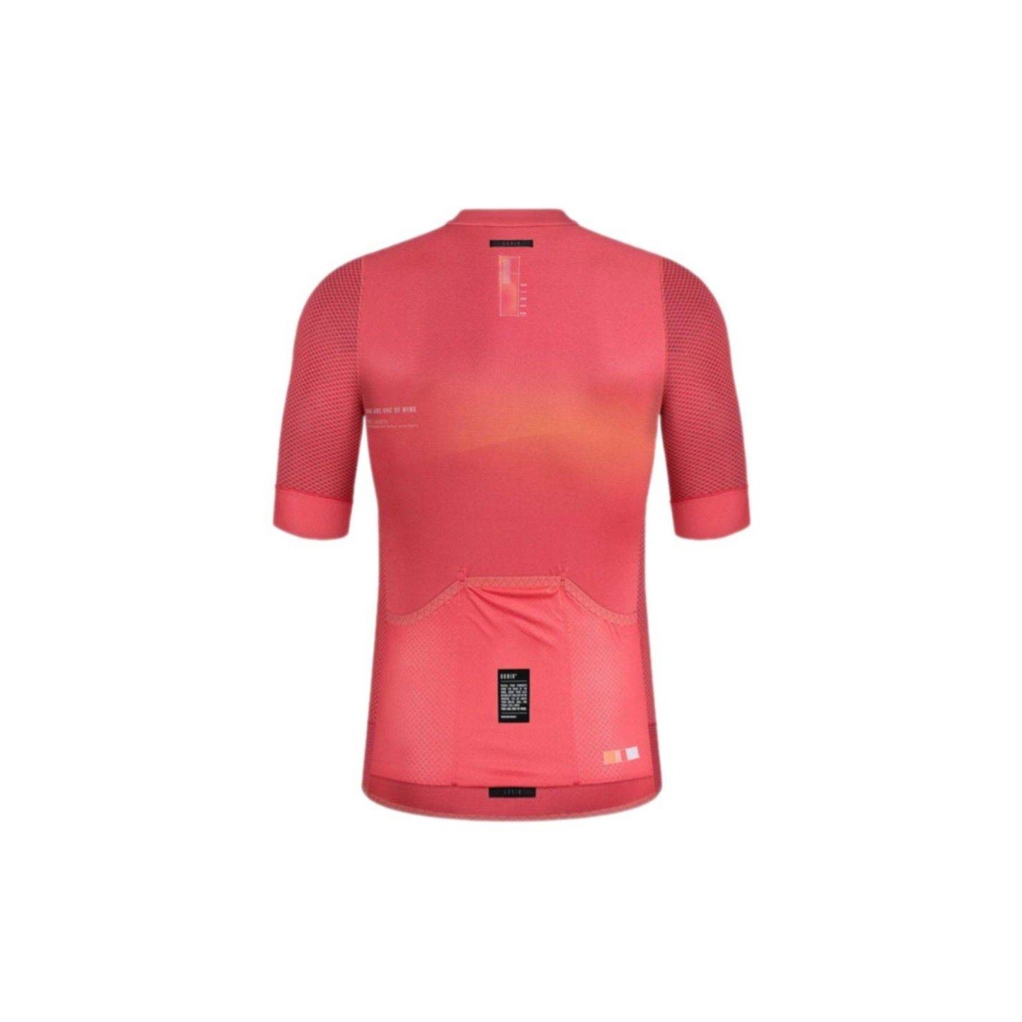 MAILLOT GOBIK CARRERA 2.0 PARADISE | Ravet Bike