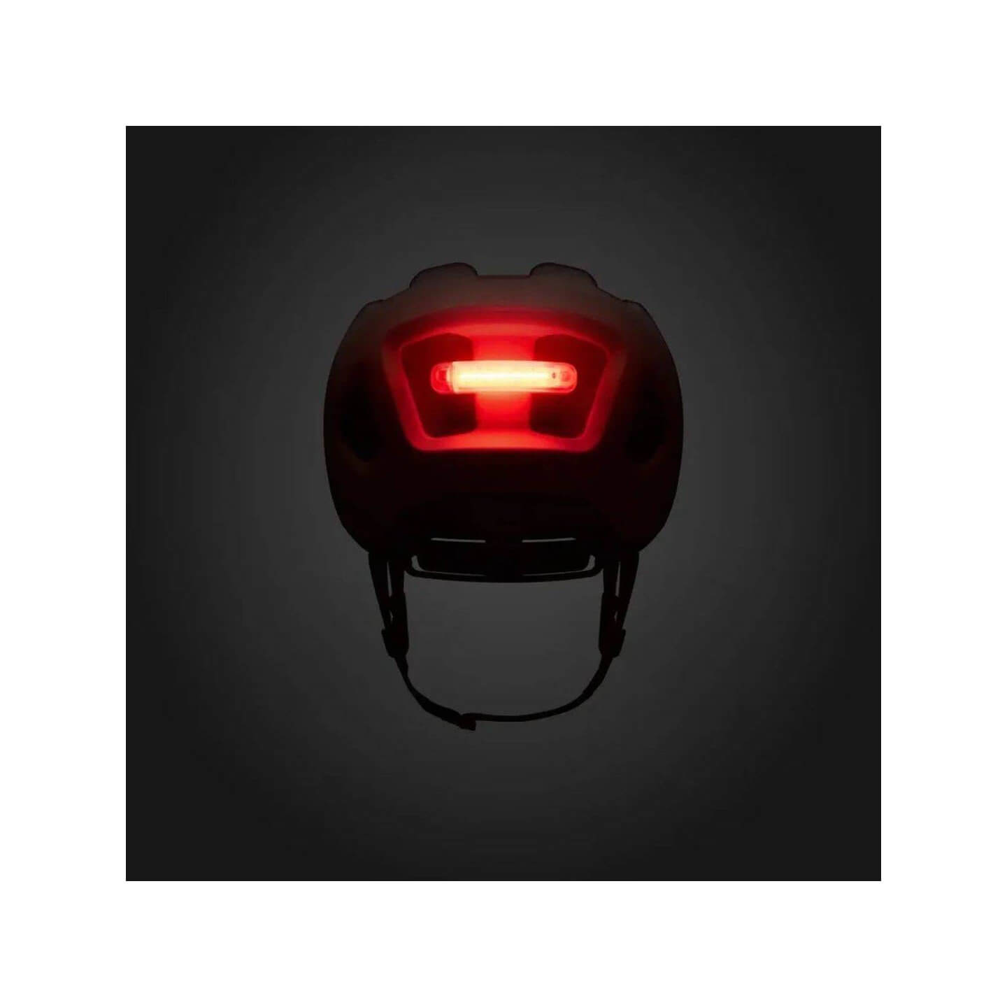 CASCO FIZIK KASSIS MUD-SAND LIGHT | Ravet Bike