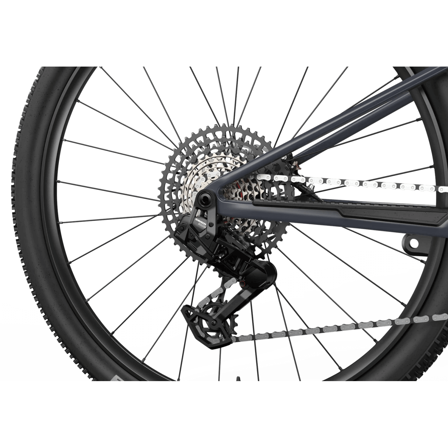 UNNO HORN RACE | Ravet Bike