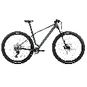 ORBEA ALMA M50 SEAWEED CARBON VIEW | Ravet Bike